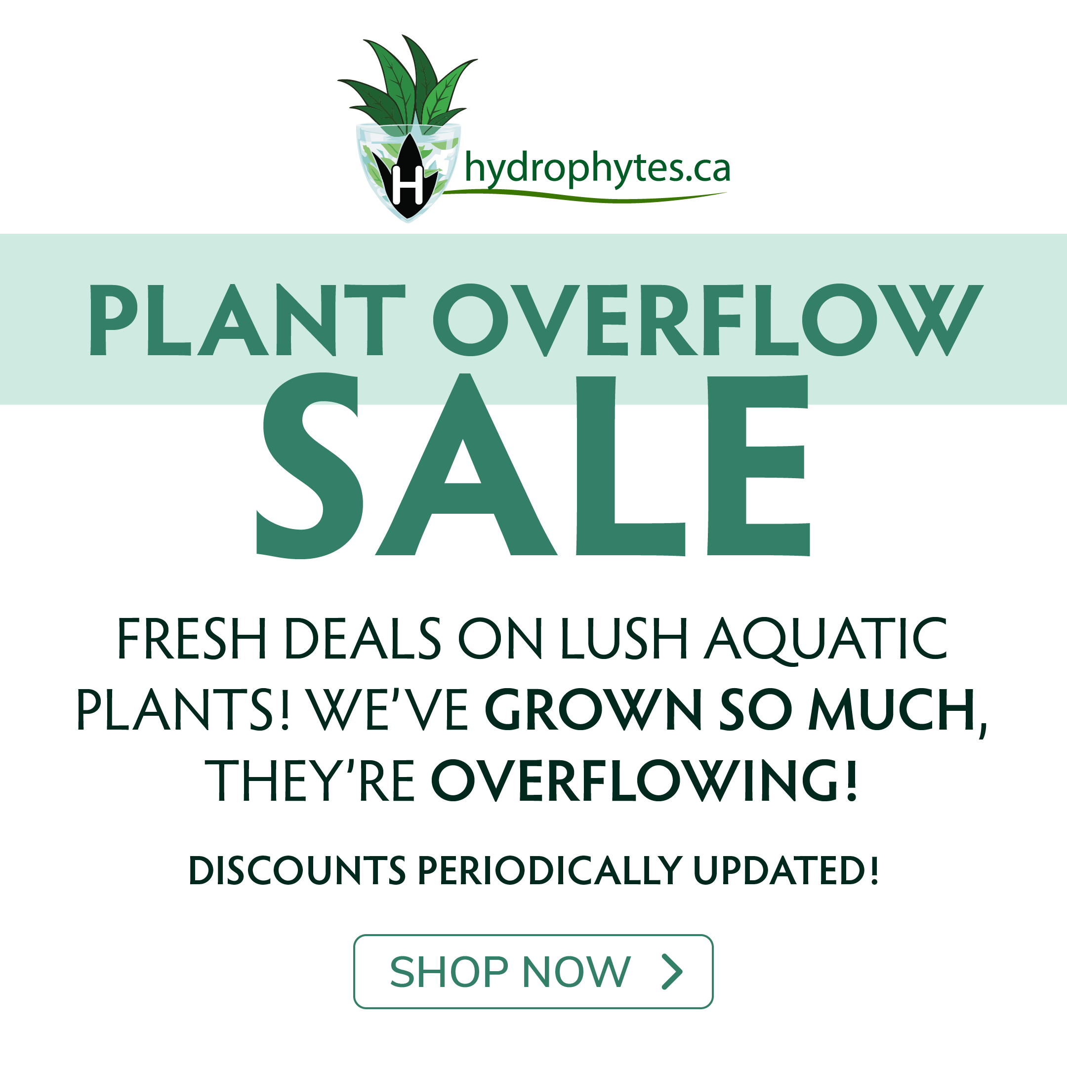 Plant Overflow Sale! Fresh deals on lush aquatic plants! We’ve grown so much, they’re overflowing! Discounts Periodically Updated!